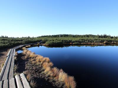 The Lovrenc lakes boardwalk on the Pohorje plateau near Rogla