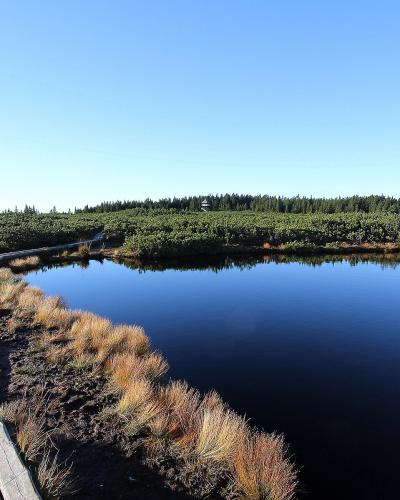 The Lovrenc lakes boardwalk on the Pohorje plateau near Rogla