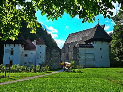 The buildings of Žiče Charterhouse (Žička kartuzija) in a green valley