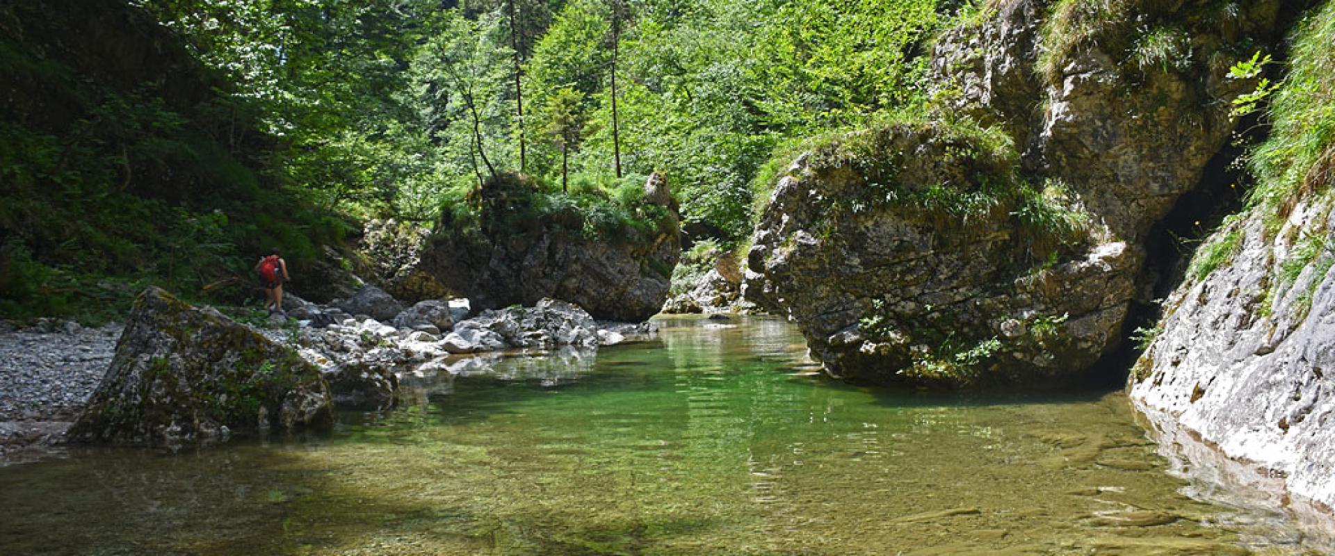 A clear pool among boulders in the Iški Vintgar gorge