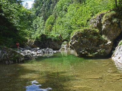 A clear pool among boulders in the Iški Vintgar gorge