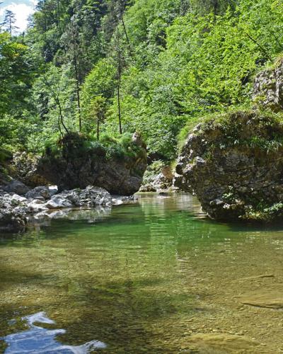 A clear pool among boulders in the Iški Vintgar gorge