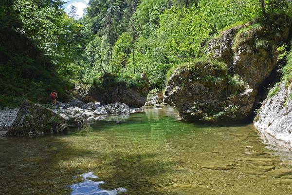 Iški Vintgar Gorge