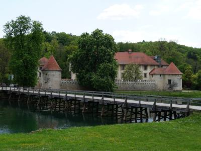 A stone castle with red-tiled roofs and towers situated on an island in a river, connected to the foreground by a long wooden bridge, surrounded by green trees and grass under a cloudy sky.