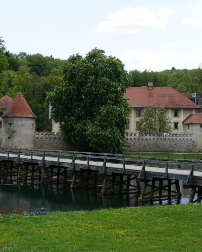 A stone castle with red-tiled roofs and towers situated on an island in a river, connected to the foreground by a long wooden bridge, surrounded by green trees and grass under a cloudy sky.