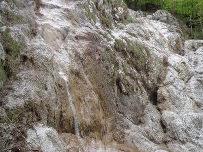 A small waterfall cascading down a light-colored, travertine-covered rock face into a small pool, surrounded by green trees and forest debris.