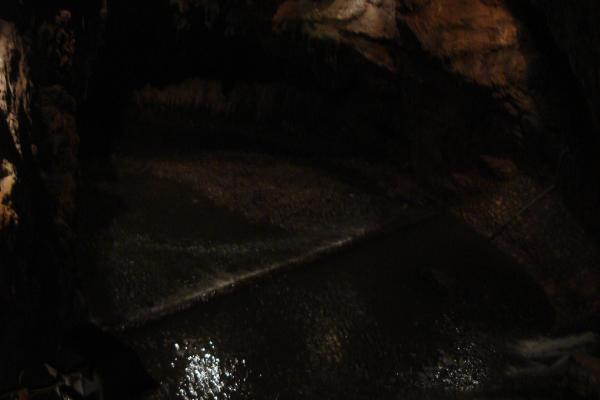 Pivka Cave