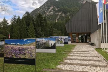 Mojstrana