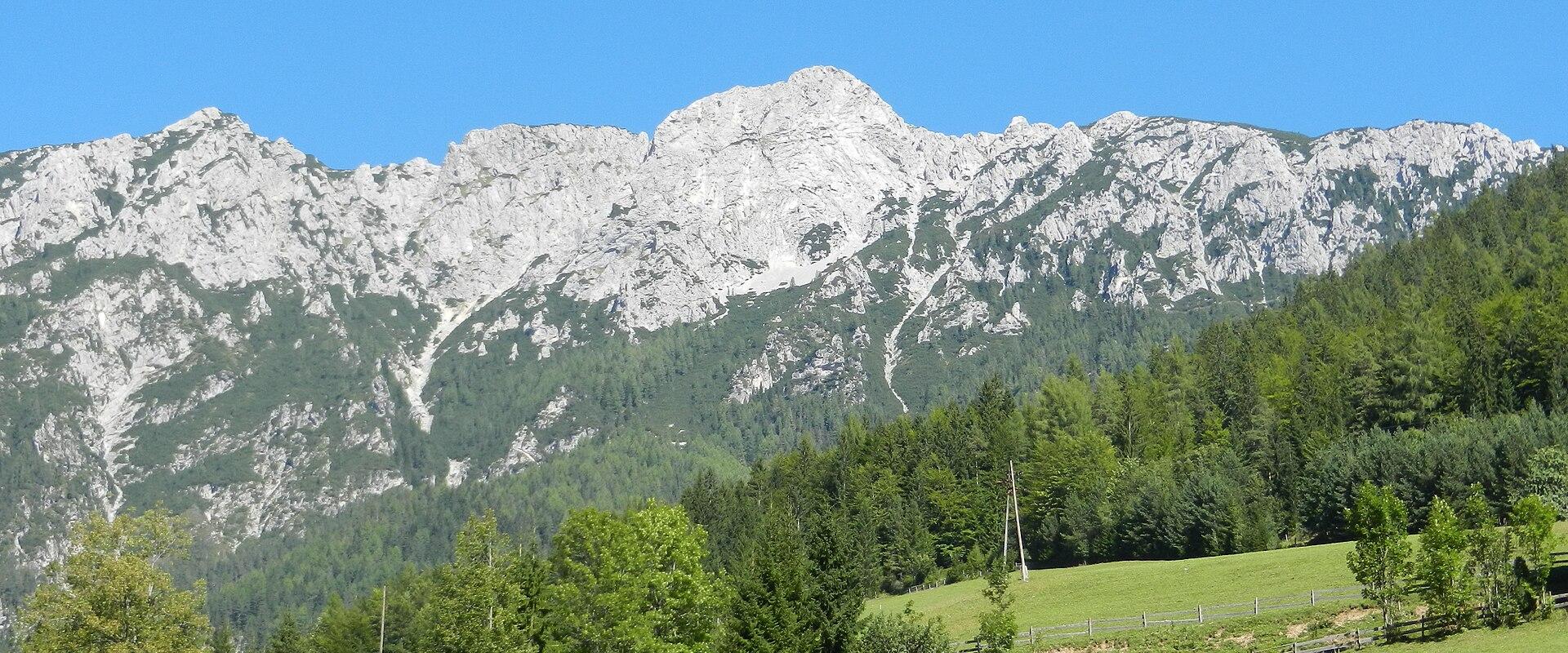 The Topla valley meadows beneath the Peca massif, Koroška