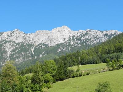 The Topla valley meadows beneath the Peca massif, Koroška