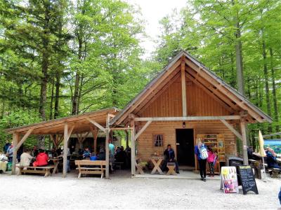 A wooden restaurant building with an outdoor seating area and picnic tables, surrounded by a dense green forest, with people dining and a chalkboard menu sign visible in the foreground.