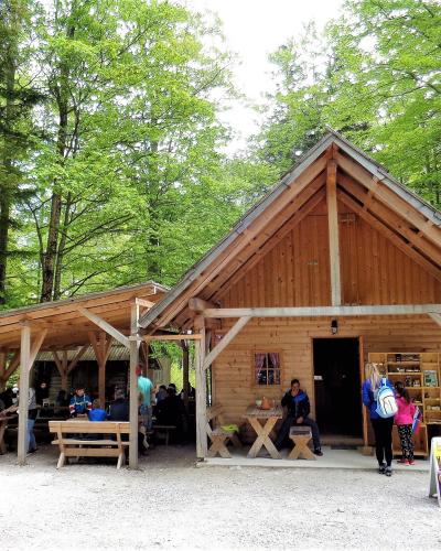 A wooden restaurant building with an outdoor seating area and picnic tables, surrounded by a dense green forest, with people dining and a chalkboard menu sign visible in the foreground.