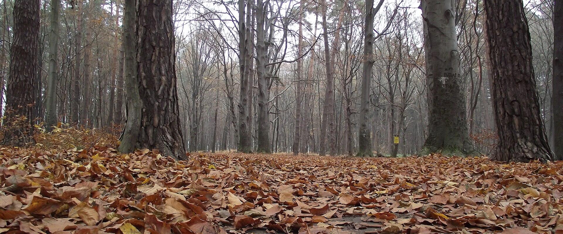 Pustolovski Park