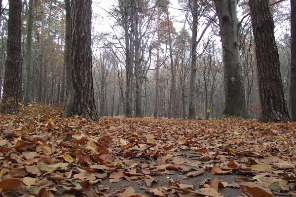 Pustolovski Park