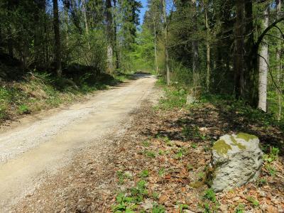 Kalce Logatec Slovenia - Roman road 1