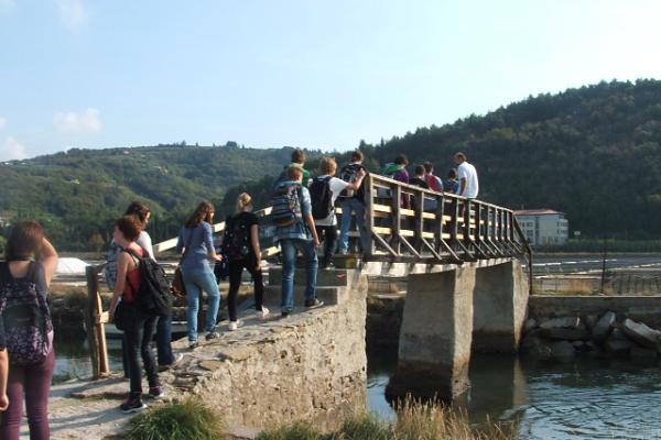 Napoleon Bridge