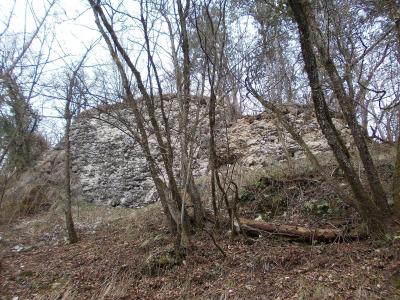 A low, crumbling stone wall or foundation of a ruin is visible through bare trees on a wooded hillside during late autumn or winter.