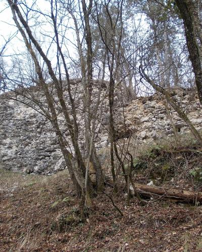 A low, crumbling stone wall or foundation of a ruin is visible through bare trees on a wooded hillside during late autumn or winter.