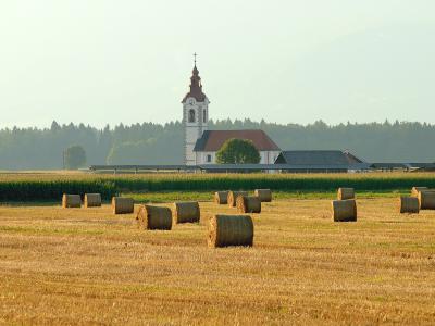 Bale - Voglje, Šenčur