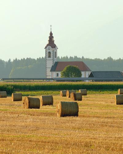 Bale - Voglje, Šenčur