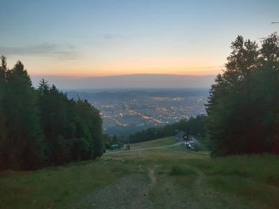 Forest and meadow slopes of the Pohorje range above Maribor