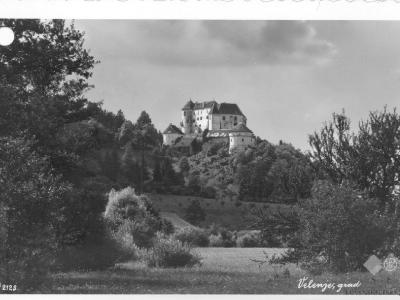 A black and white postcard showing a large castle complex situated on a wooded hill, with trees in the foreground and a cloudy sky above.