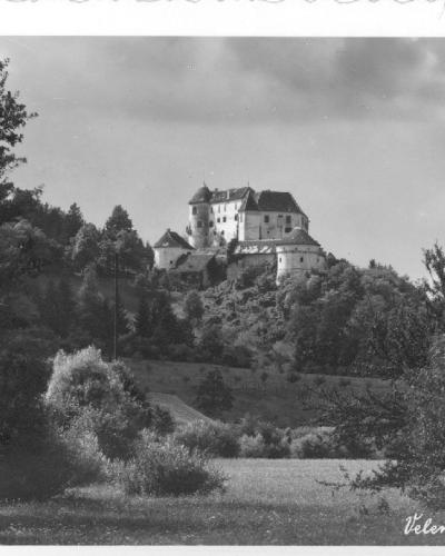A black and white postcard showing a large castle complex situated on a wooded hill, with trees in the foreground and a cloudy sky above.