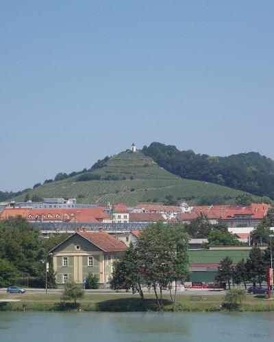 A wide landscape shot showing a distinctive conical, vine-covered hill with a small white chapel at its summit, rising above a town with red-roofed buildings and a river in the foreground.