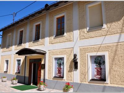 A two-story building with a textured yellow facade, white trim, and large display windows featuring posters for an exhibition titled "alojz gangl," with a small bust mounted on the wall and planters near the entrance.