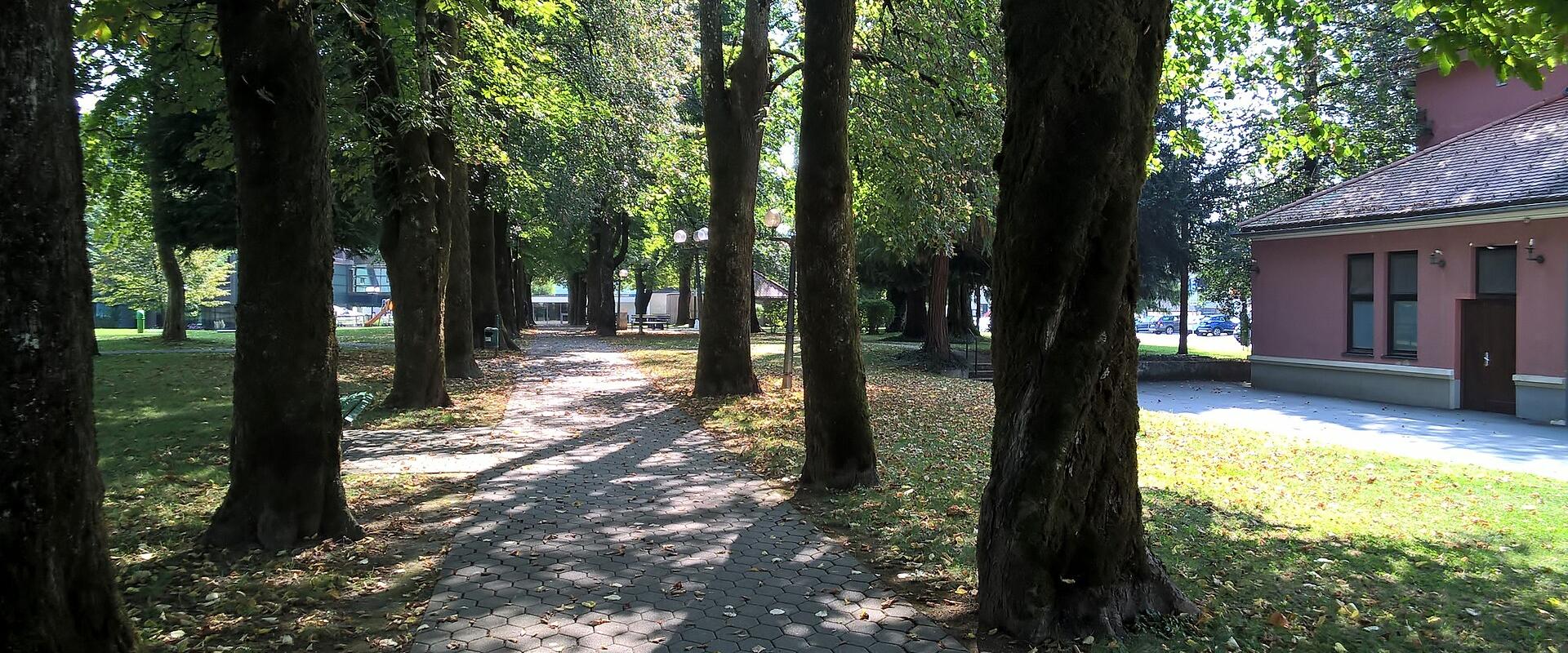 Dolenjske Toplice Spa