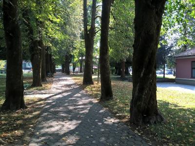 A paved walkway lined with mature trees in a park setting, with a pink building visible on the right side.