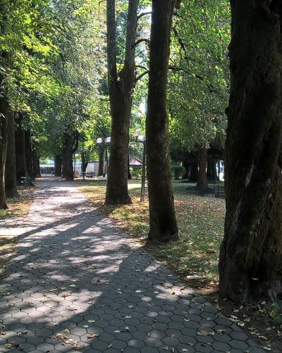 A paved walkway lined with mature trees in a park setting, with a pink building visible on the right side.