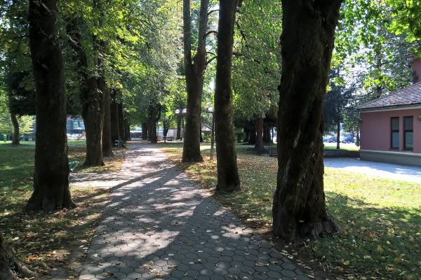 Dolenjske Toplice Spa