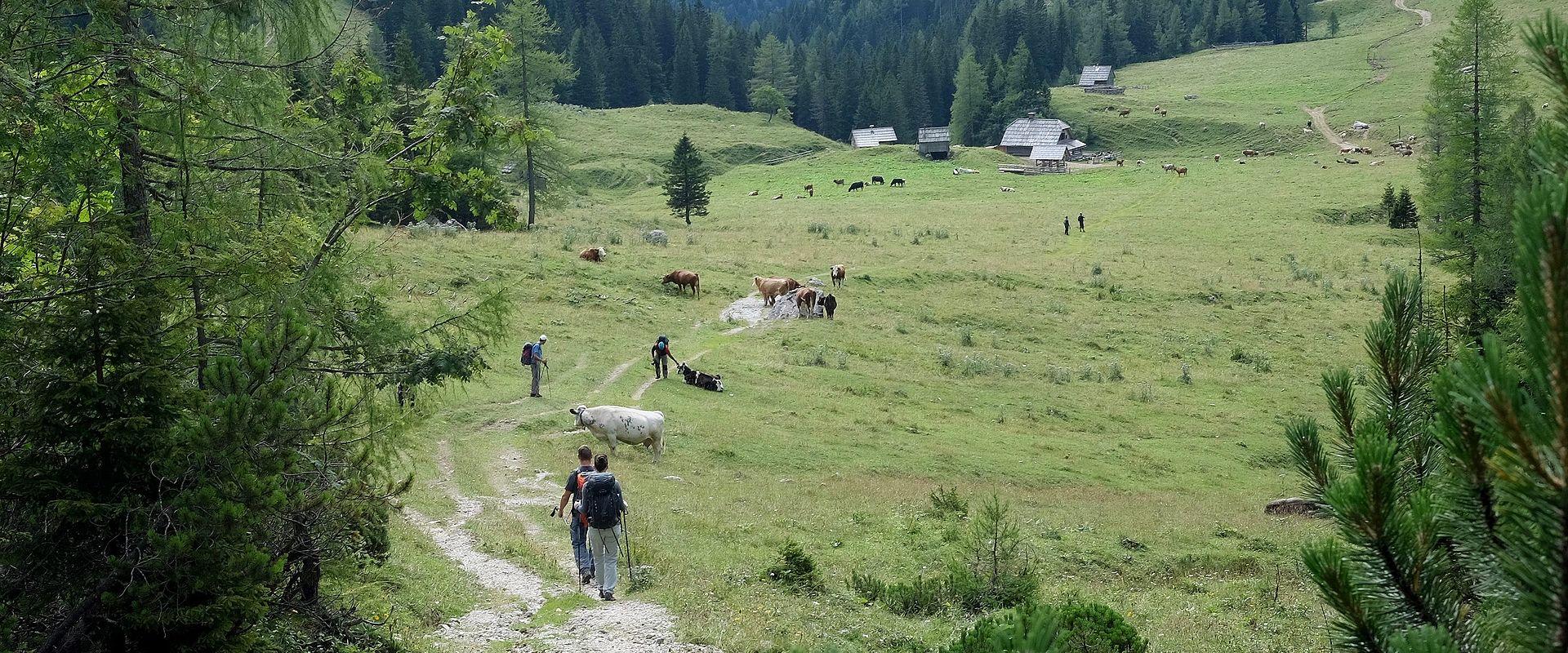 Triglav National Park