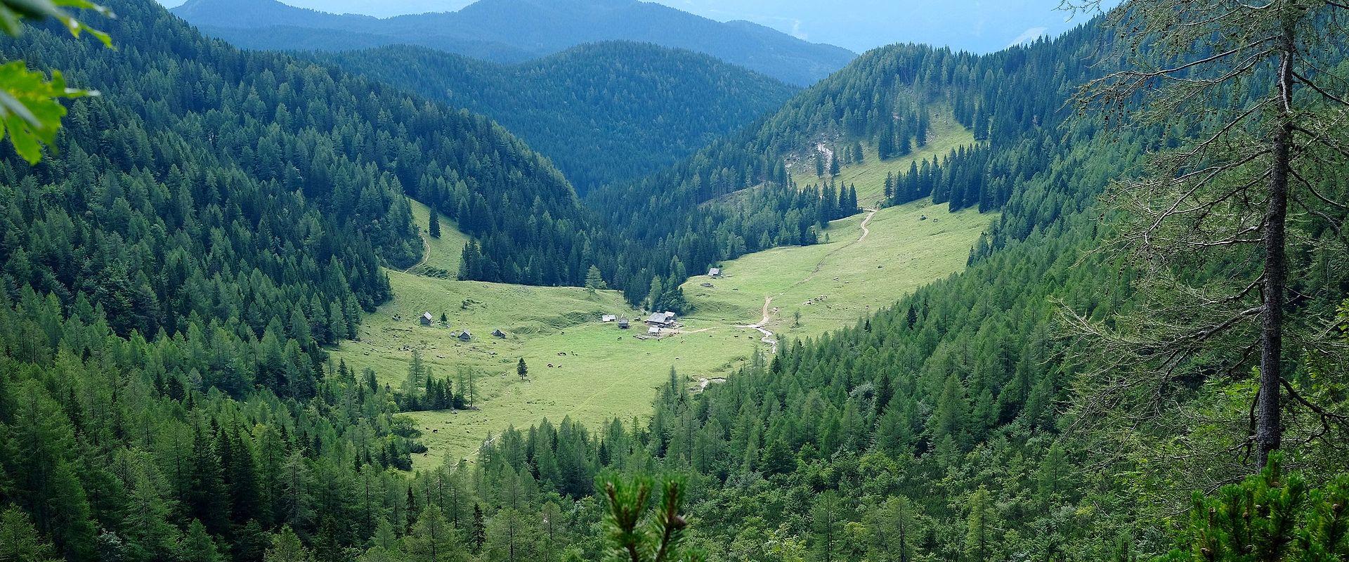 A green alpine valley in Triglav National Park