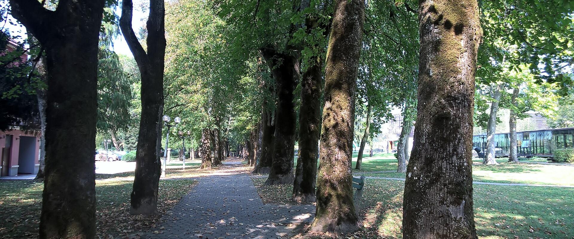 Tree-lined path through the spa park at Dolenjske Toplice.