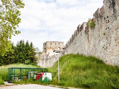 The walls of Celje's Old Castle climbing the hillside