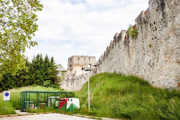 Celje Castle