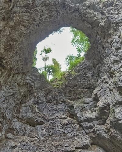 A low-angle view looking up through a rough, natural limestone archway towards a bright sky and green trees at the top of a rocky gorge.