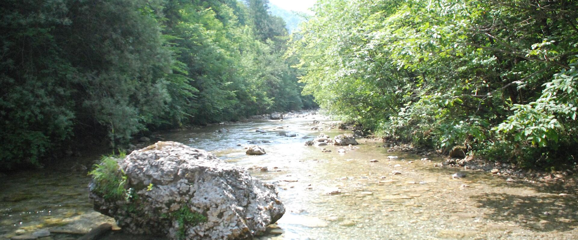 The Iška river running through the forested Iški Vintgar gorge