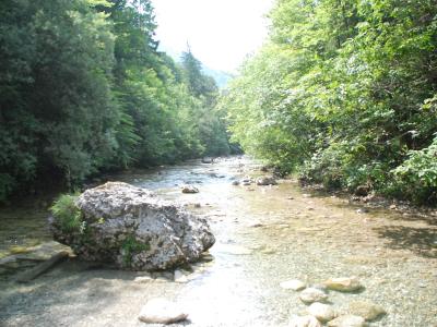 The Iška river running through the forested Iški Vintgar gorge