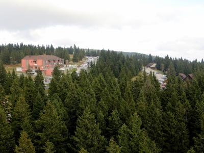 Spruce forest and buildings at Rogla on the Pohorje plateau