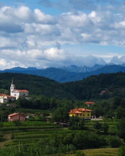 Goriška Brda, Slovenia vineyards