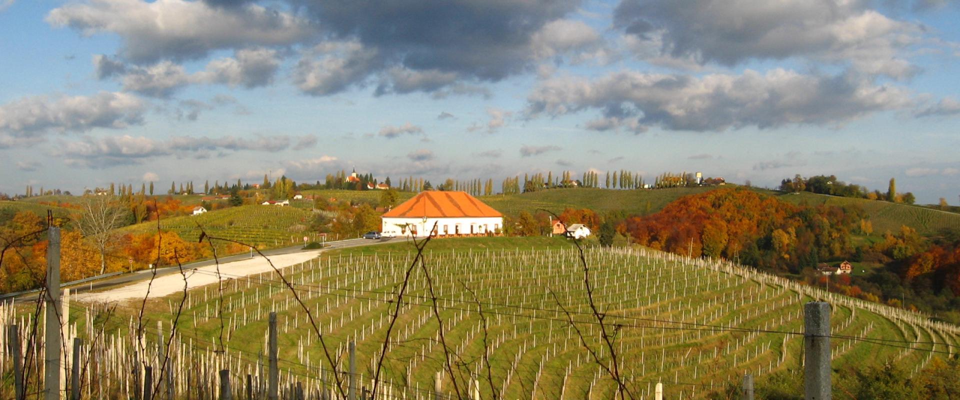 Autumn vineyards and a hilltop house at Jeruzalem, Štajerska