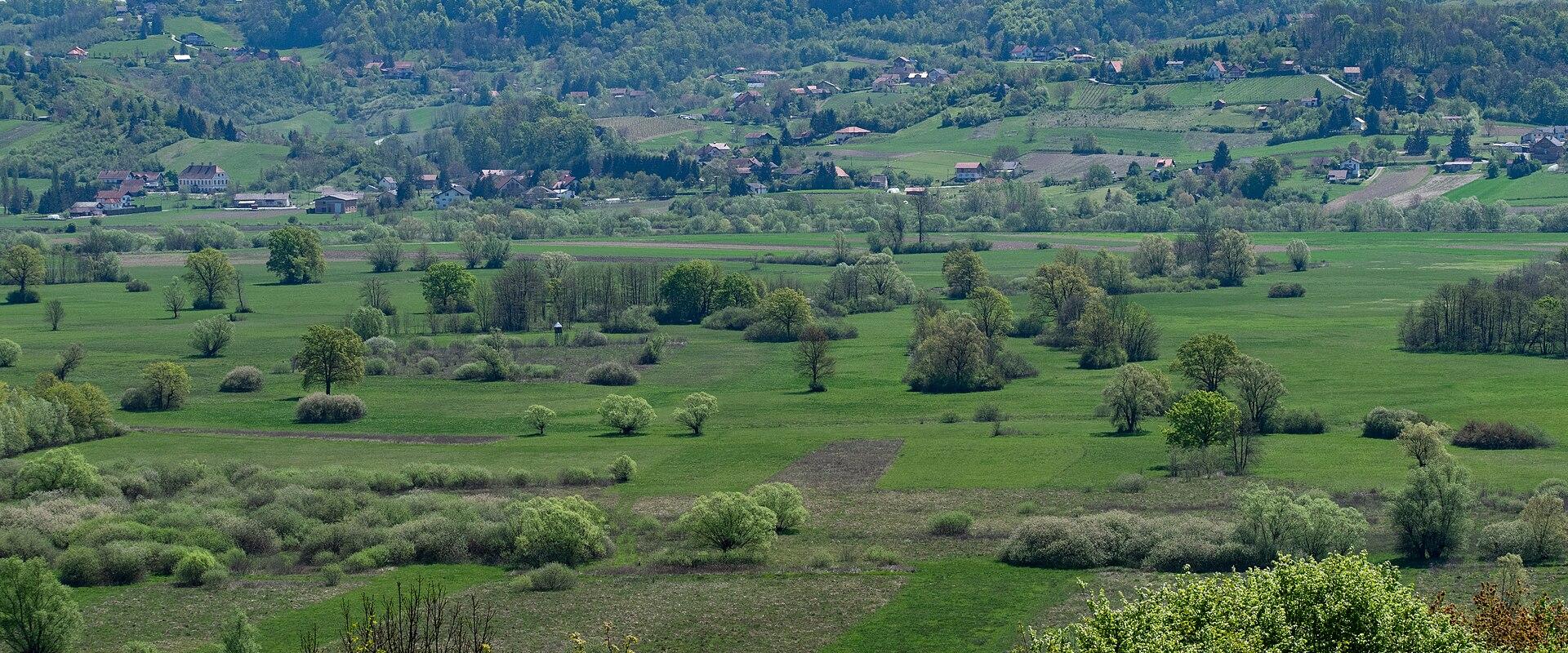 Jovsi