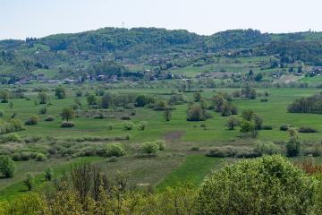 Jovsi