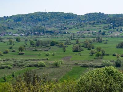 Jovsi