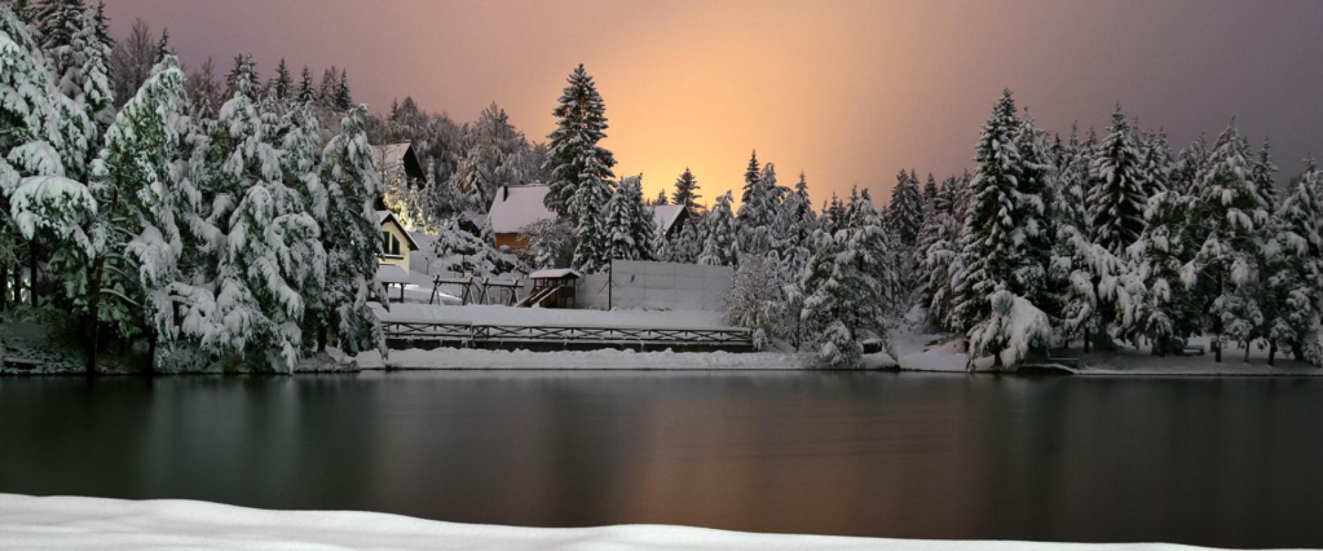 Winter Wonderland