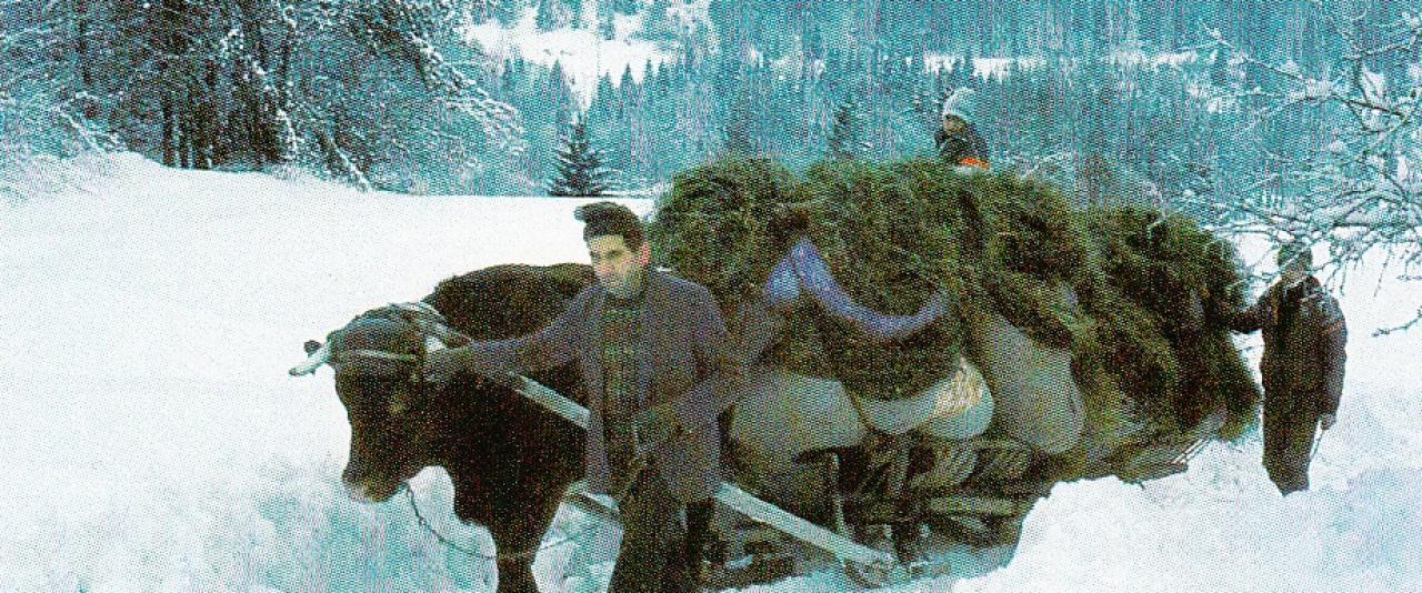 Zimski transport sena s planine v dolino