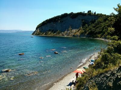 A sunny coastal scene showing a crescent-shaped pebble beach with turquoise water, a prominent white cliff face topped with green vegetation and trees, and a few beachgoers with umbrellas in the foreground.